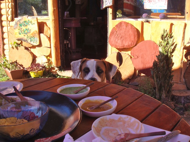 CL Lunch Guest